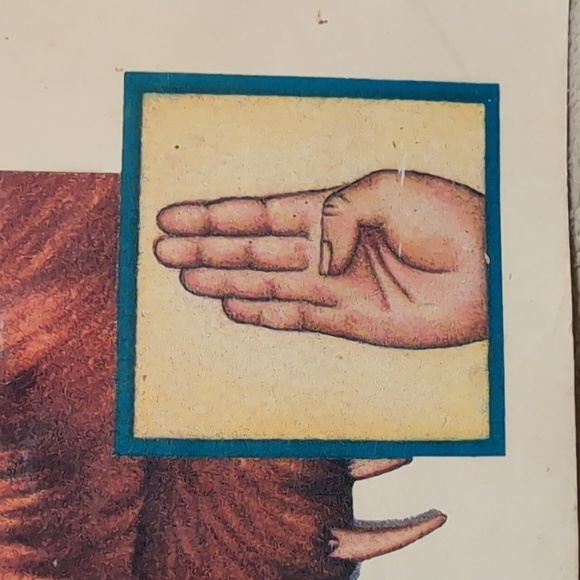 A Sign Language Alphabet Hand signs Scholastic By Kathleen Fain - Picture 4 of 16